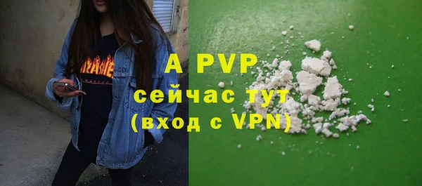 ешки Белокуриха