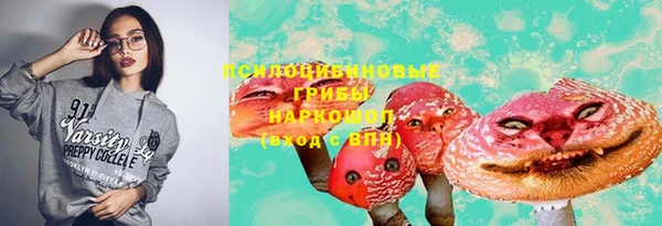 ешки Белокуриха